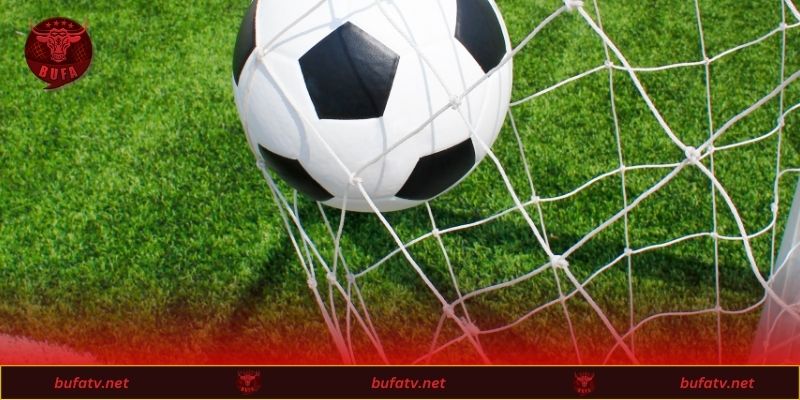 Hướng dẫn sử dụng nền tảng hiệu quả nhất